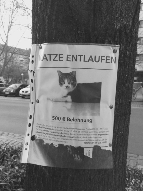 Astonishing Light – 39