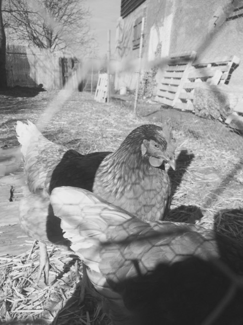 Astonishing Light – 10