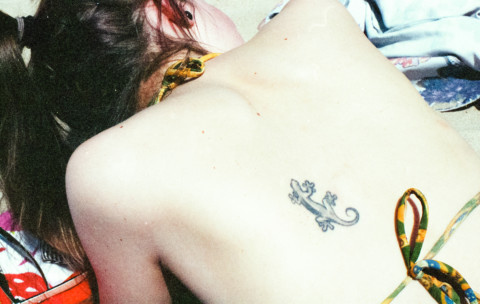 Spring Allergies – 3