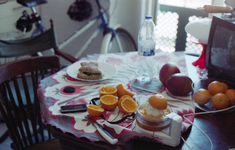 Spring Allergies – 5