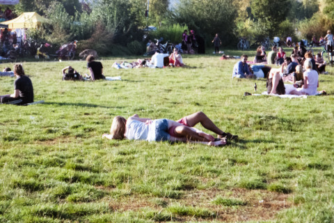 Missing Pieces – 25