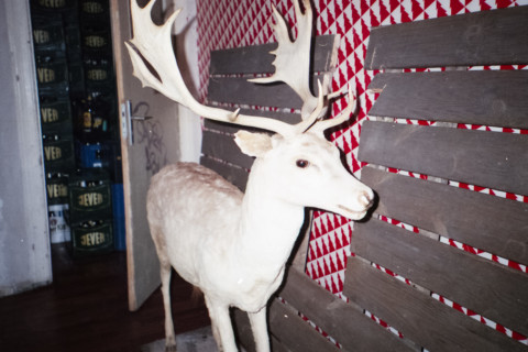 Missing Pieces – 2