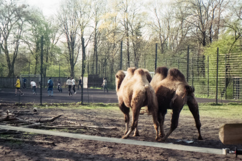 Missing Pieces – 17