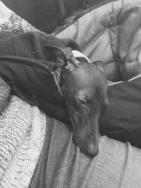 Empathic Therapy – 17