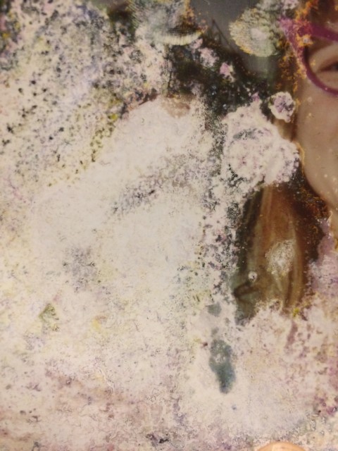 Empathic Therapy – 19