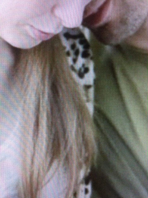 Empathic Therapy – 24