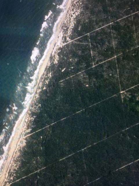 Alternative Facts – 1