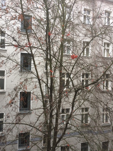 Alternative Facts – 10