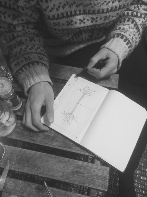 Alternative Facts – 12