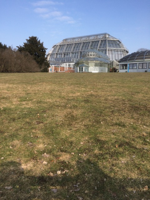 Alternative Facts – 14