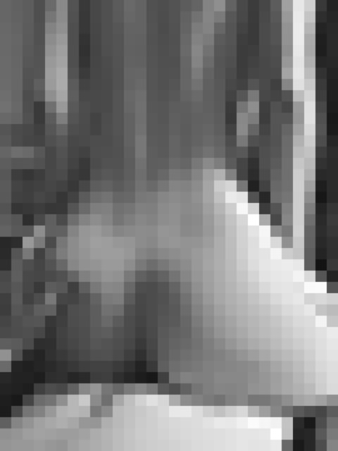 Alternative Facts – 9