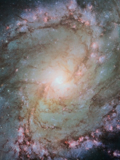 Summer w/ Erich – 12