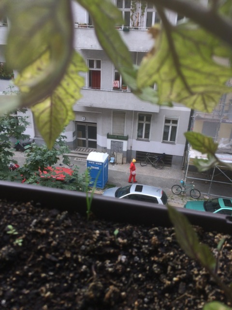 Summer w/ Erich – 10