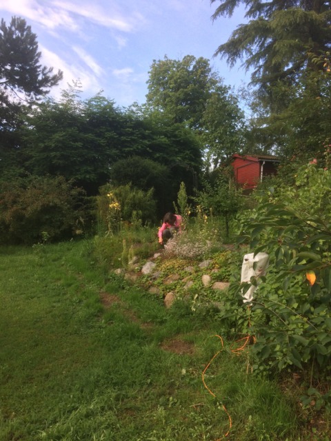 Summer w/ Erich – 22