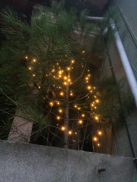 Aprender a rezar – 6