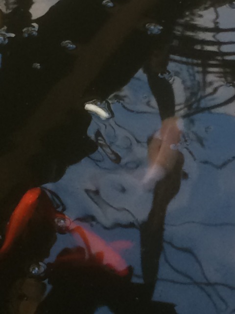 Aprender a rezar – 8