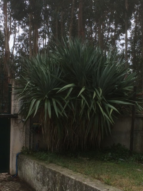 Aprender a rezar – 10