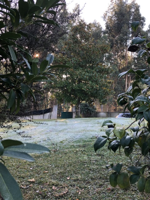 Emotional Agenda – 15