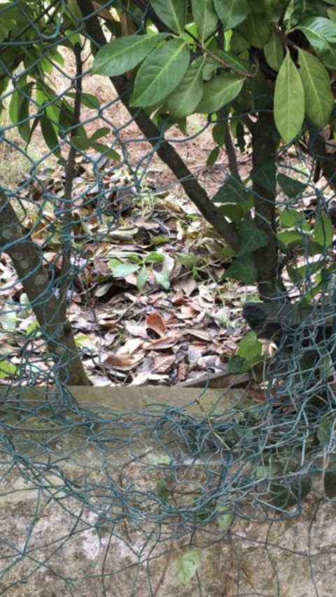 Self-deprecation – 2