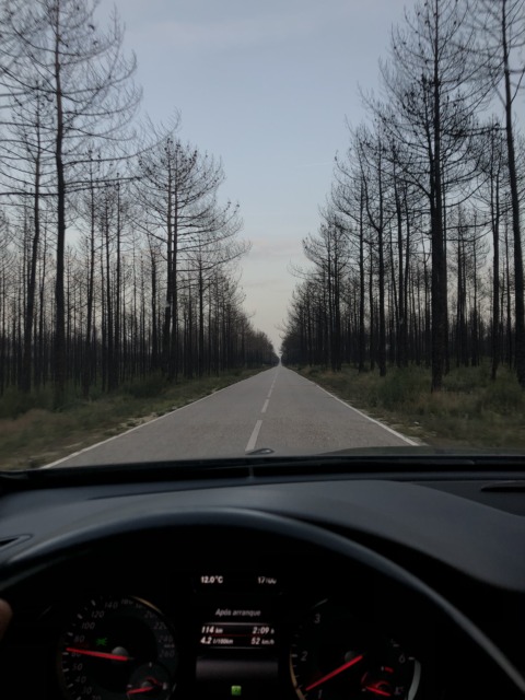 Emotional Agenda – 10