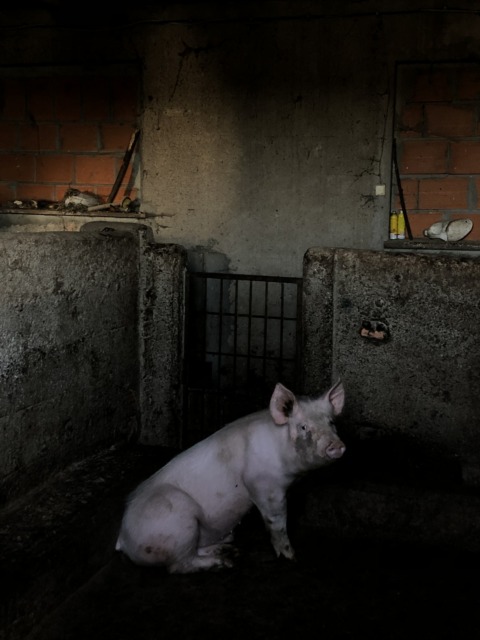 Emotional Agenda – 11