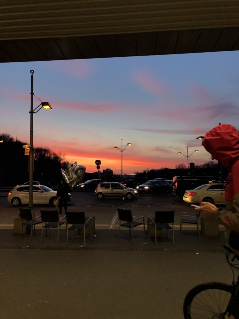 Automation Bias – 14