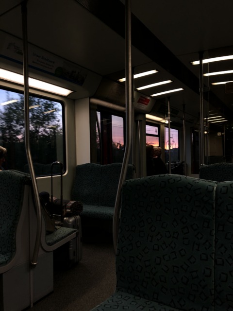 Synthetic Genome – 21