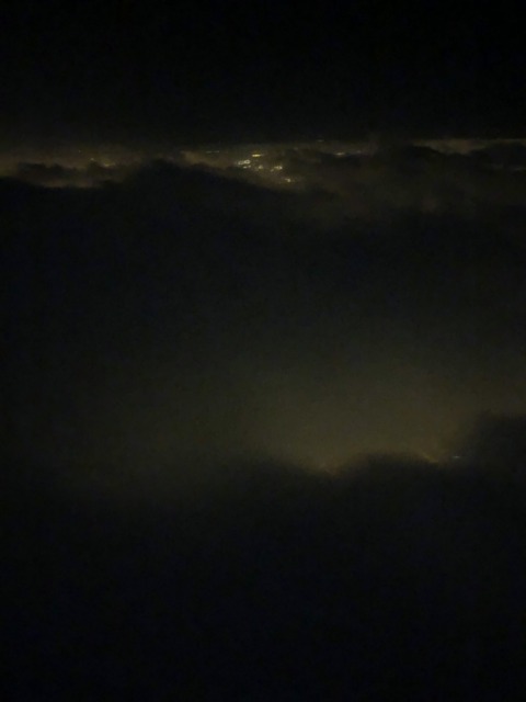 Synthetic Genome – 31