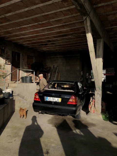 Synthetic Genome – 17