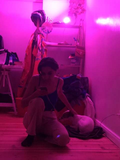 Synthetic Genome – 2