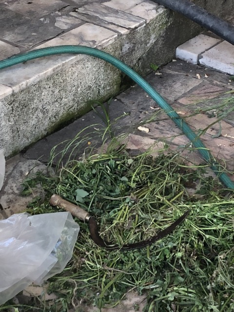 Synthetic Genome – 14