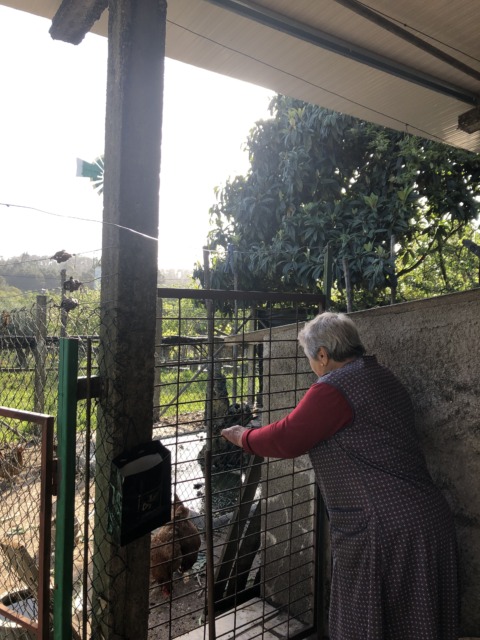 Synthetic Genome – 15