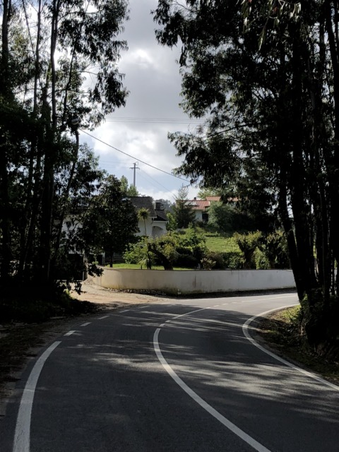 Synthetic Genome – 9