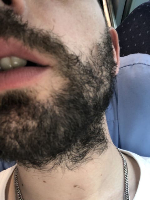 Synthetic Genome – 30