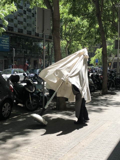 Synthetic Genome – 32