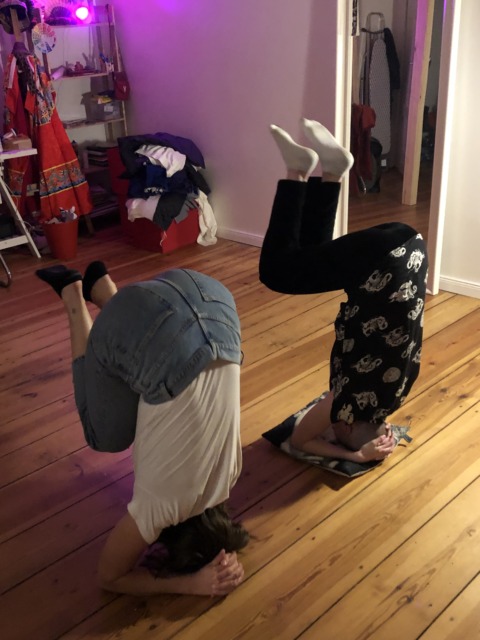 Synthetic Genome – 1