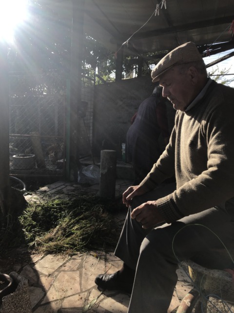 Synthetic Genome – 16