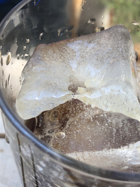 Synthetic Genome – 47