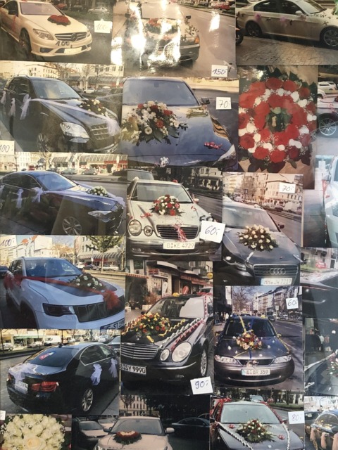 Synthetic Genome – 36