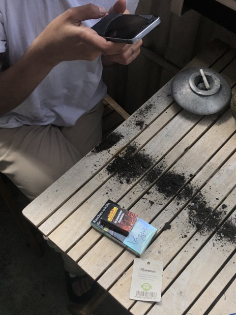 Synthetic Genome – 38