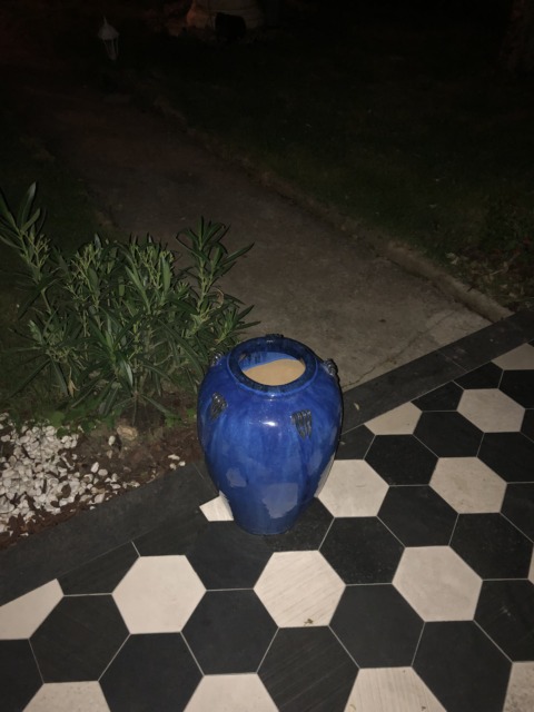 Synthetic Genome – 58