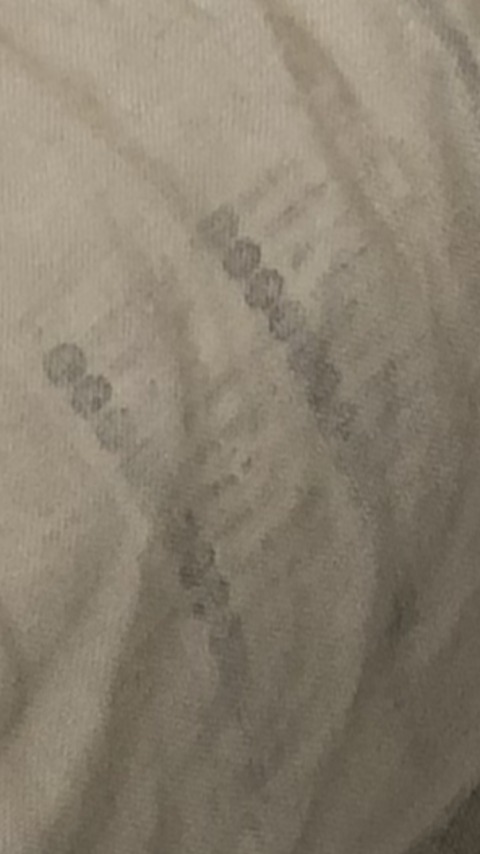 Appearance II, Summer – 4