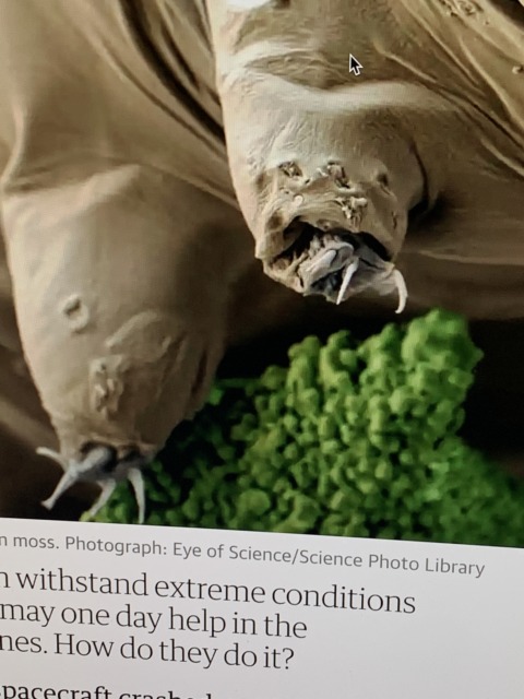 ‎Theory of Sets – 4