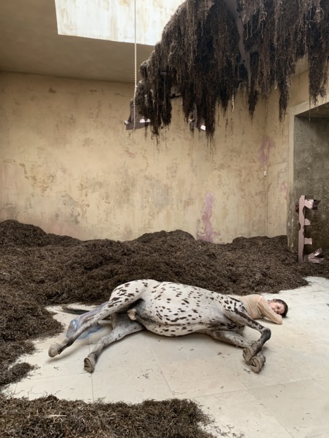 Promethean Love – 2