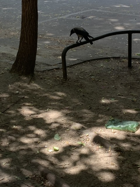 Feel-world Simulation – 10