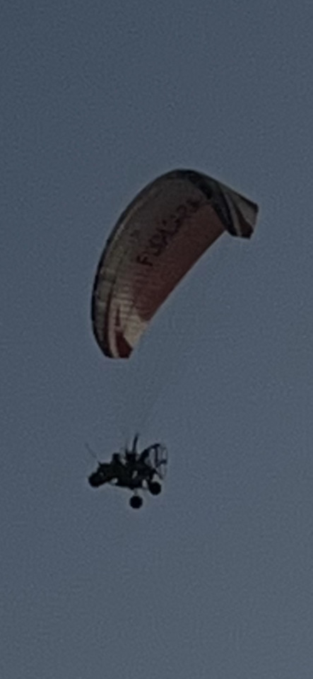 A powered paraglider with a reddish-brown wing and a dark trike flies against a clear blue sky.