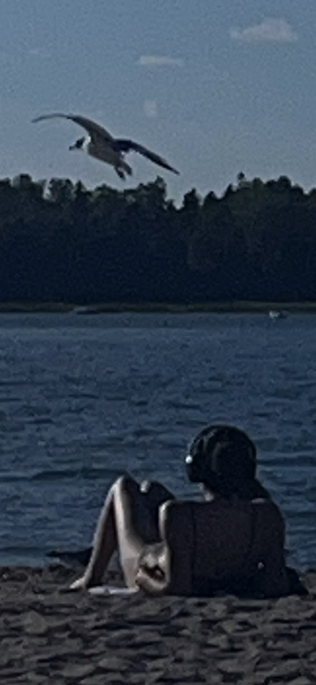 A person relaxes on a beach by the water, wearing headphones, while a large bird flies overhead in a clear sky.