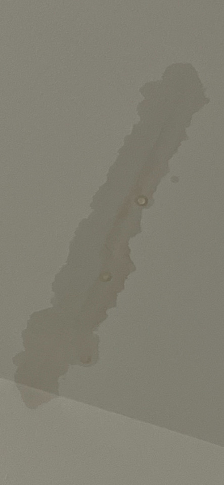 A large, dark brown water stain streaks diagonally across a light-colored ceiling, indicating a leak.