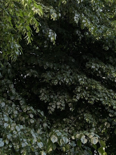 Container Zero – 8