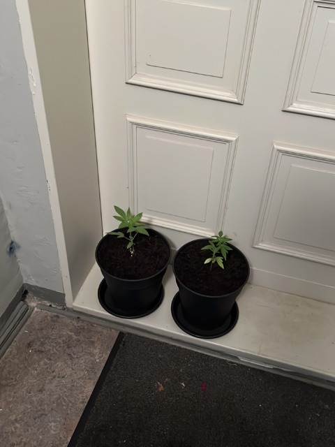 After Swimming – 8